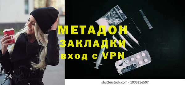 прущие грибы Костерёво