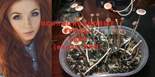 прущая мука Коряжма