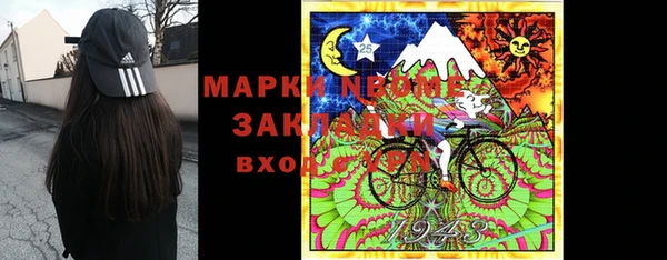 прущие грибы Костерёво