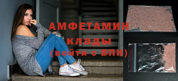 прущие грибы Костерёво