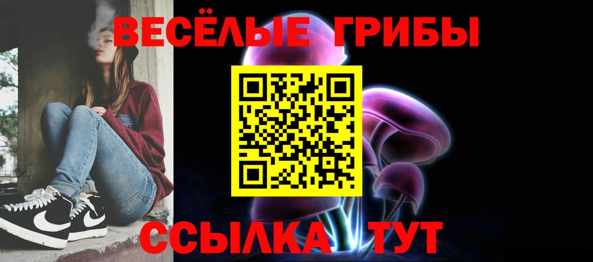 сколько стоит  Псилоцибиновые грибы Magic Shrooms  Вход с VPN  Псилоцибиновые грибы Psilocybine cubensis  Михайловка 
