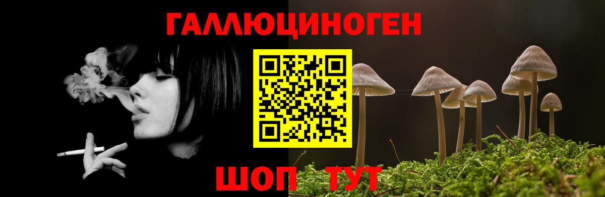 Галлюциногенные грибы MAGIC MUSHROOMS Михайловка