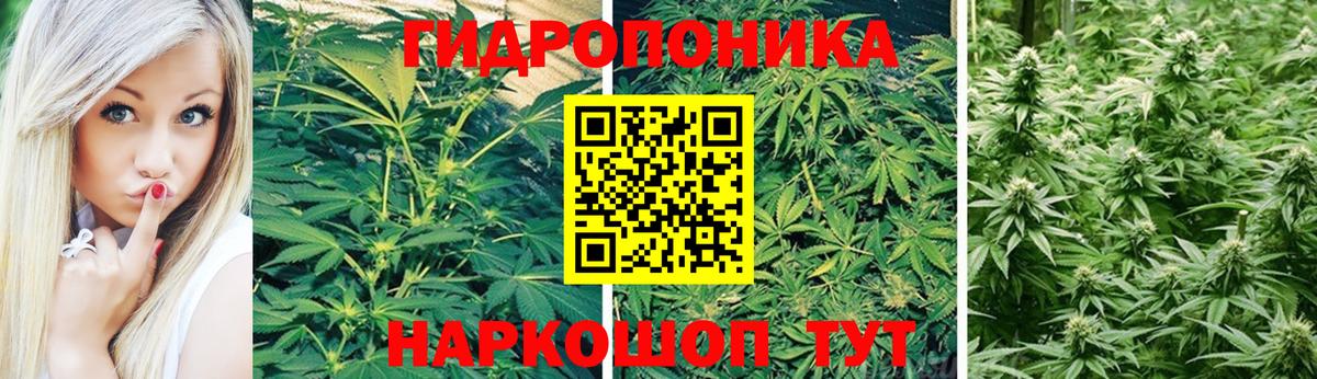 Бошки марихуана марихуана  Бошки марихуана конопля  Михайловка  Вход с VPN  Каннабис Ganja 
